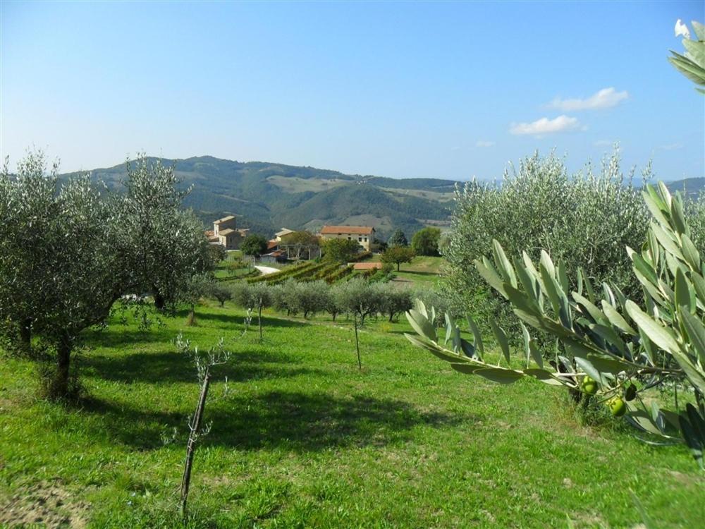 La Cinci Allegra Valfabbrica Luaran gambar