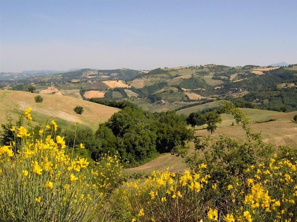 La Cinci Allegra Valfabbrica Luaran gambar
