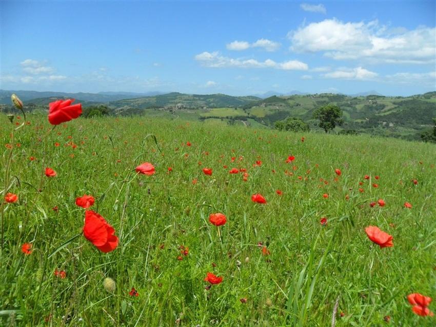 La Cinci Allegra Valfabbrica Luaran gambar